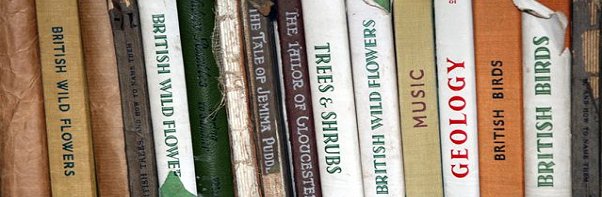 Queens Road Auctions